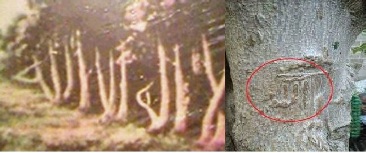 Wonderful Miraculous Amazing Surprising Tremendous of Islam