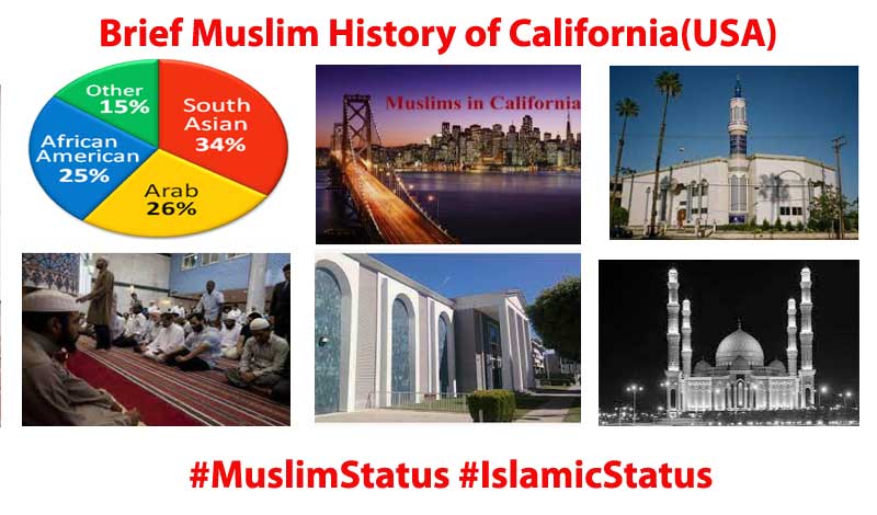 Brief Muslim Status of United States