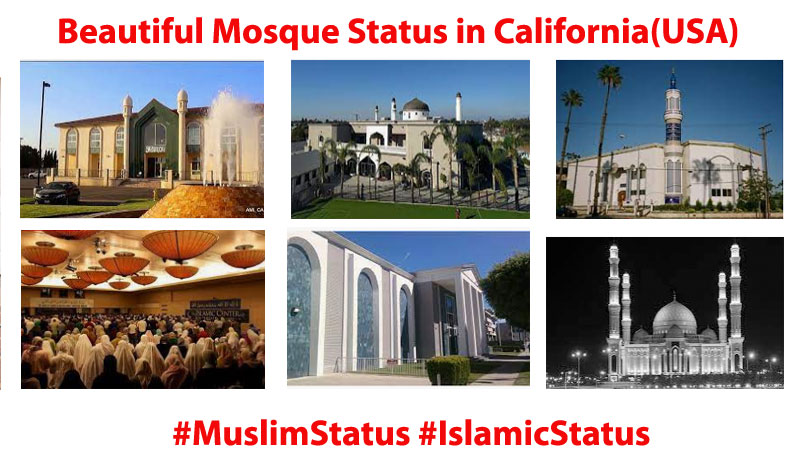 Beautiful Mosque of illinois(USA) - United States