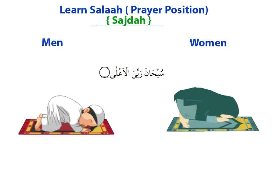 How to Pray Salaah ( Different Position )